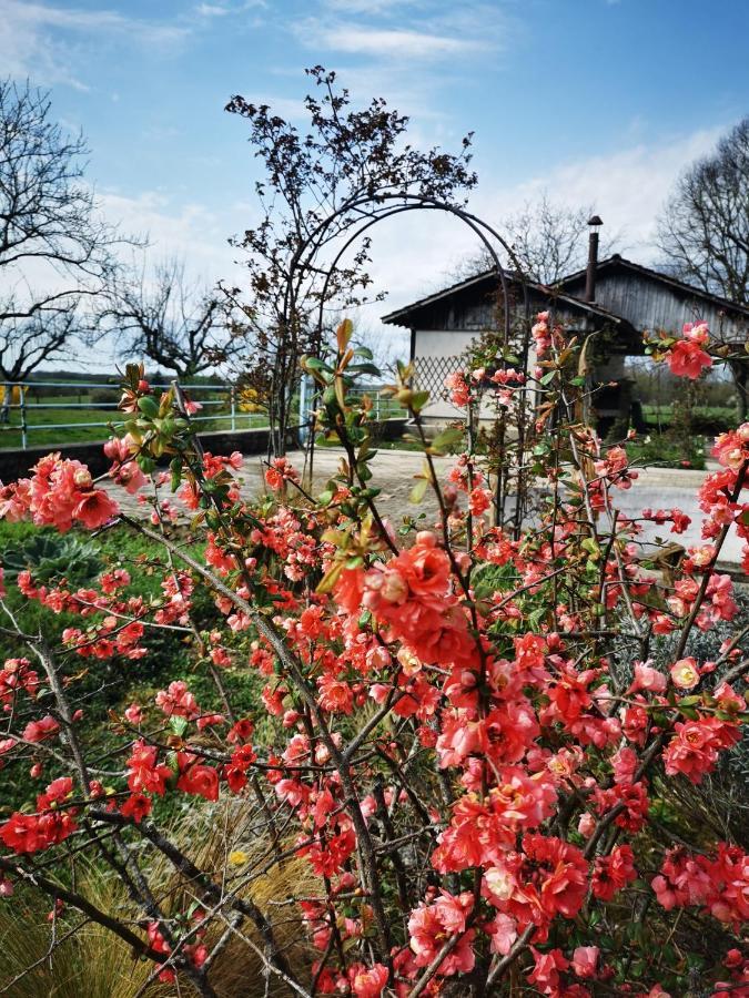 BersaillinDomaine De L'Esperance, Chambre Rose住宿加早餐旅馆 外观 照片